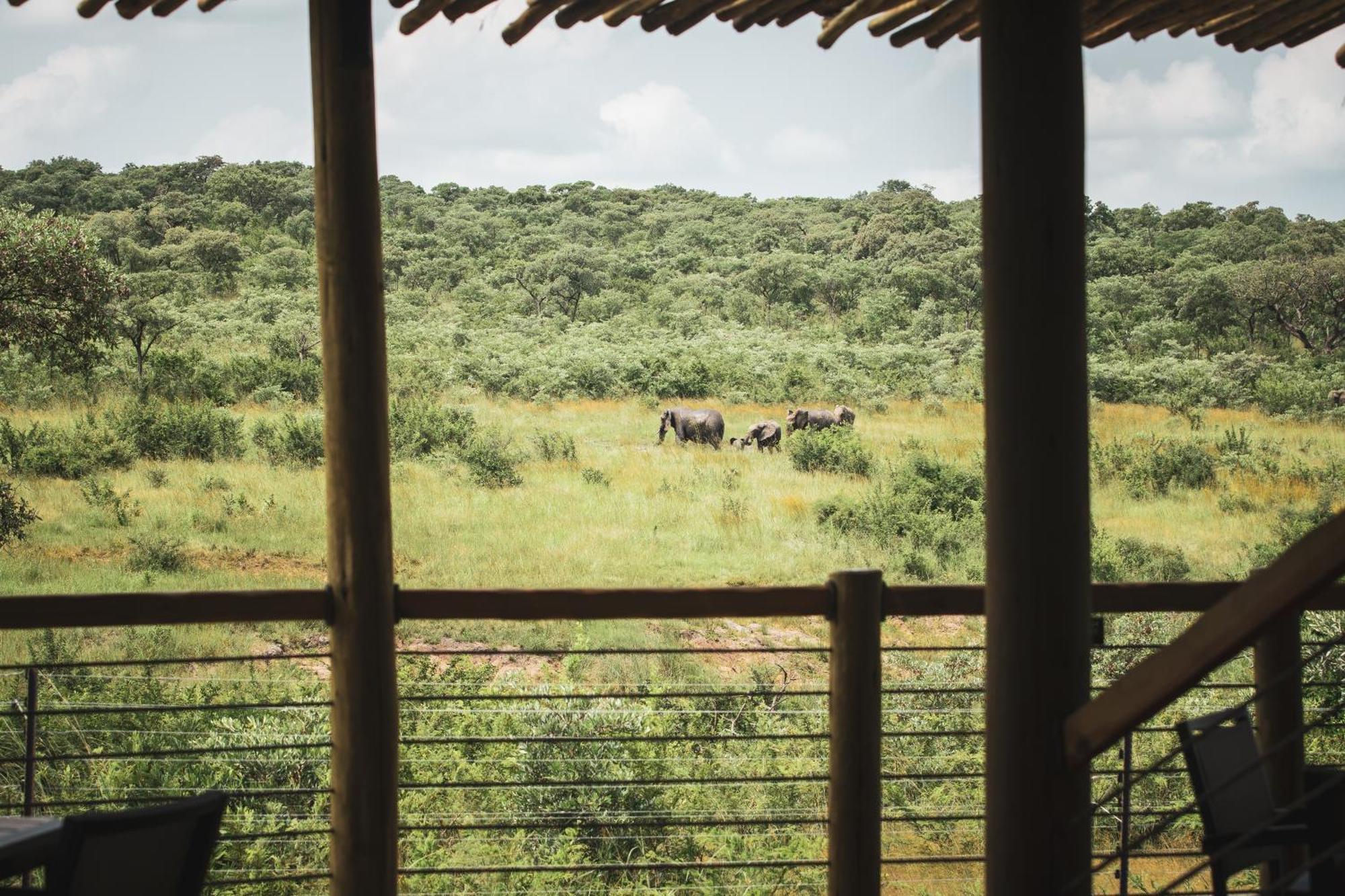 Mdluli Safari Lodge Хейзивью Экстерьер фото